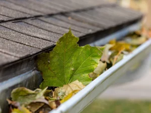 abbotsford pressure washing