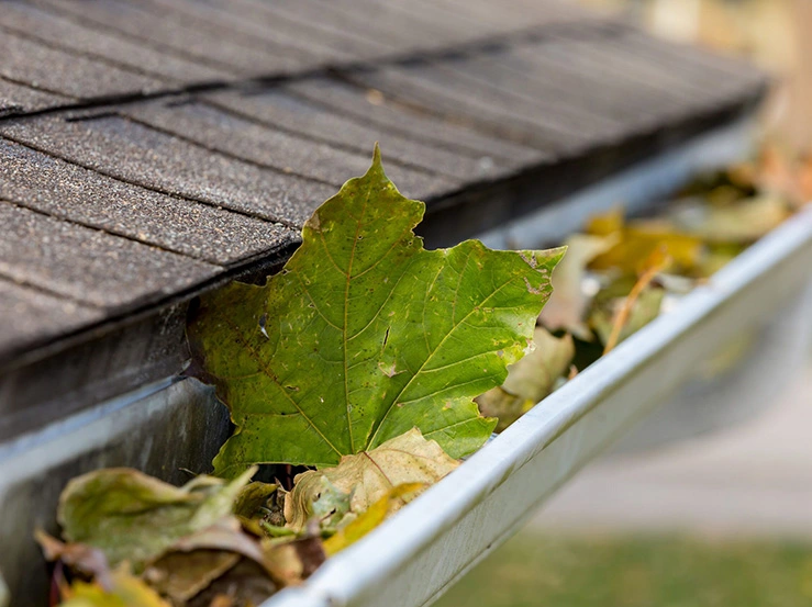 abbotsford pressure washing